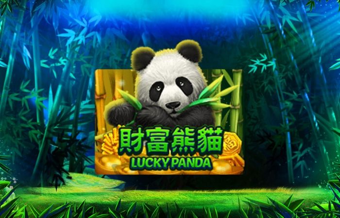 รีวิวเกม สล็อตxo joker : Lucky Panda