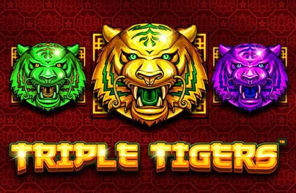 รีวิวเกม สล็อตxo joker : Triple Tigers