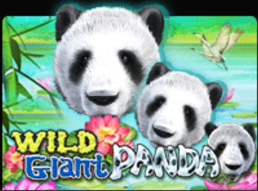 รีวิวเกม สล็อตxo joker : Wild Giant Panda