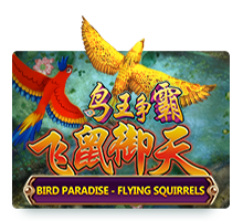 Bird Paradise