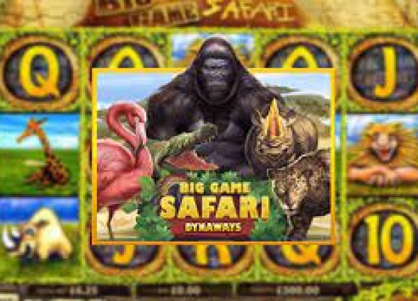 รีวิวเกม สล็อตxo joker : Big Game Safari